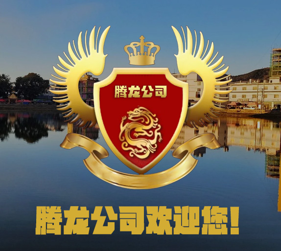 腾龙·应龙现世